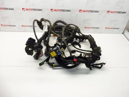 Svazek Citroën Peugeot 1.6HDI 9664716080 6569PQ