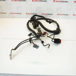 Kladný kabel AKU Citroën Peugeot 2.2 HDI 9655276580 5642FV