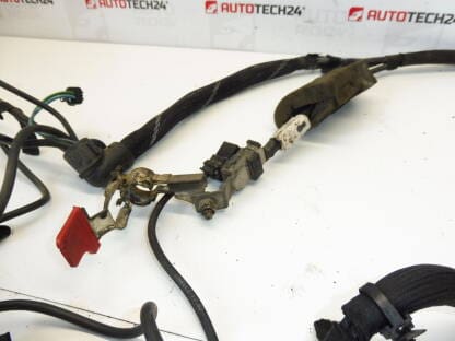 Kladný kabel AKU Citroën Peugeot 2.2 HDI 9655276580 5642FV - Image 2