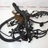Motorový svazek Citroen C8 2.0 HDI 1401216980 1401216880 6569XL - Image 4
