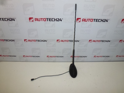 Anténa s ostřikovačem Citroën C5 9650910980 6561Y0