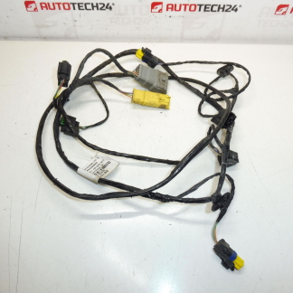 Svazek PDC přední Peugeot 3008 9665290080 9677246380 6584Z4